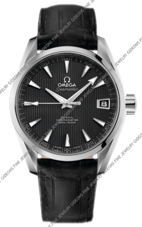 Omega Seamaster Aqua Terra Co-Axial Automatic 231.13.39.21.06.001
